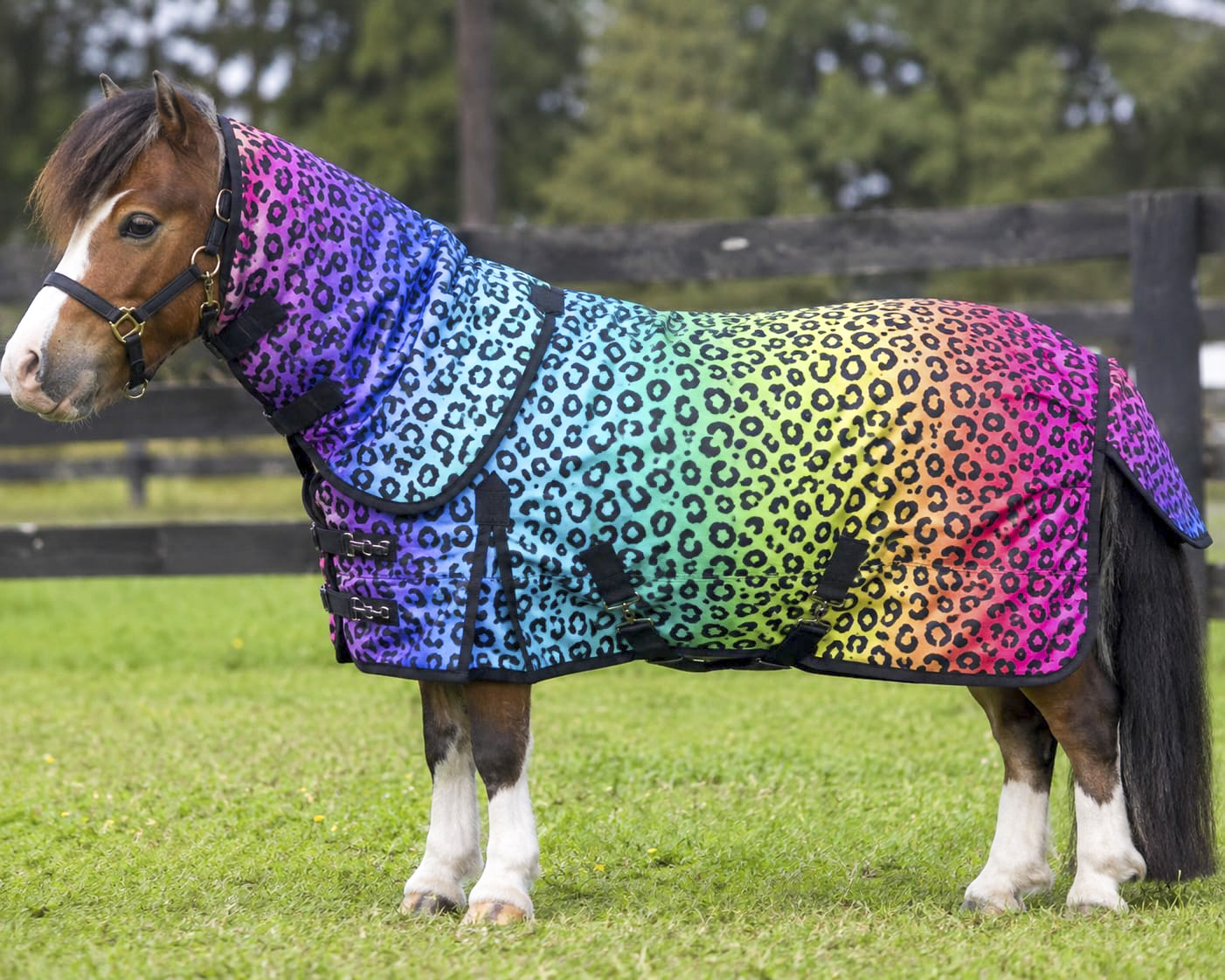 Cheetah Turnout Rug